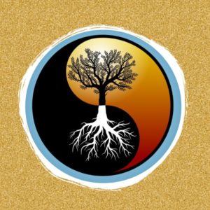 https://sochokun.com/wp-content/uploads/2018/11/Qigong-fondamental-300x300.jpg