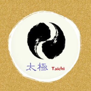 https://sochokun.com/wp-content/uploads/2018/11/Taiji-fondamental-300x300.jpg