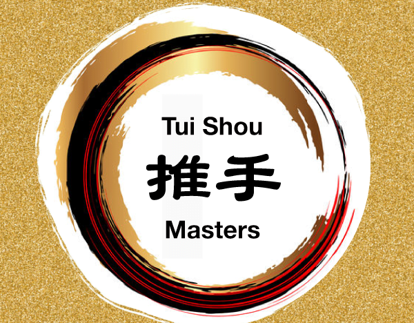 Tui Shou (Poussée des mains) Master 1 course image