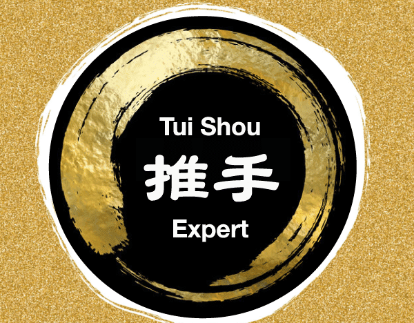 Tui Shou (Poussée des mains) Expert course image